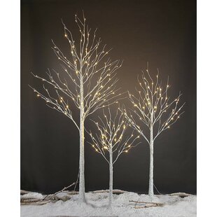 Lighted trees store for indoors